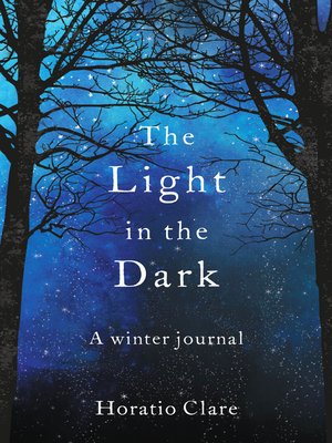 The Light in the Dark - ebook